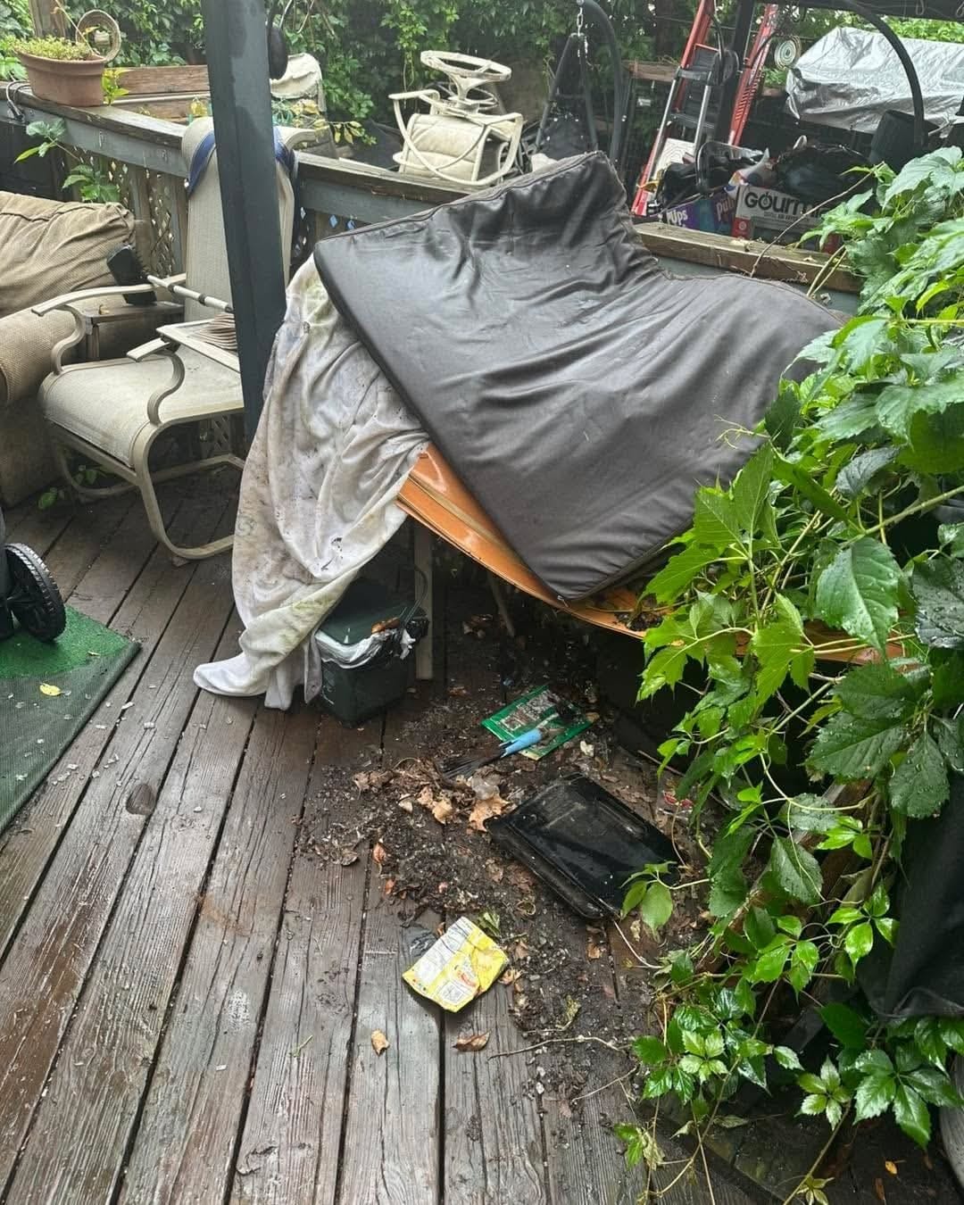 Junk Removal Service